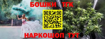 МДПВ Камышлов