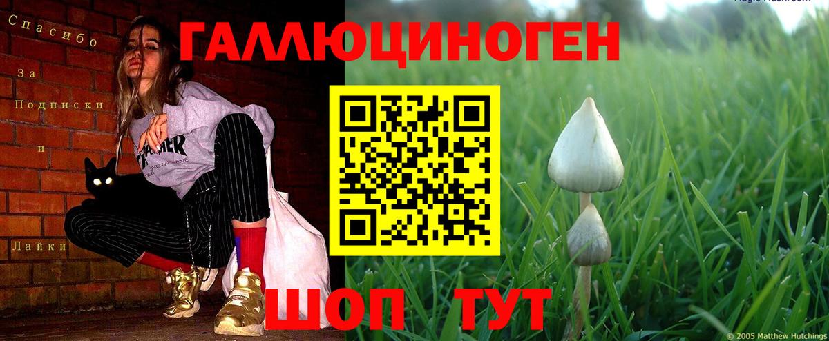 Галлюциногенные грибы мицелий  Галлюциногенные грибы Psilocybe  Ефремов  Вход с VPN 